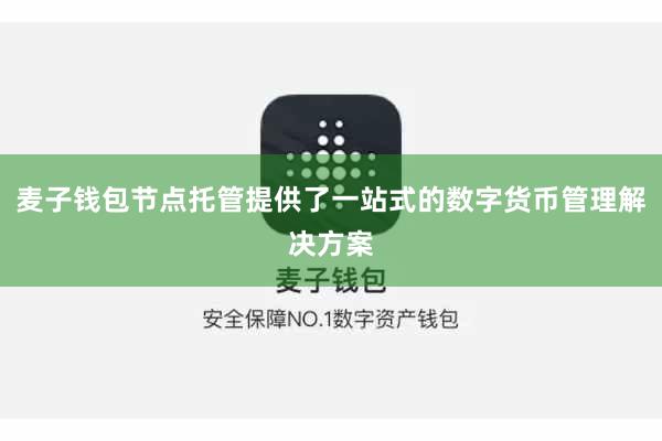 麦子钱包节点托管提供了一站式的数字货币管理解决方案