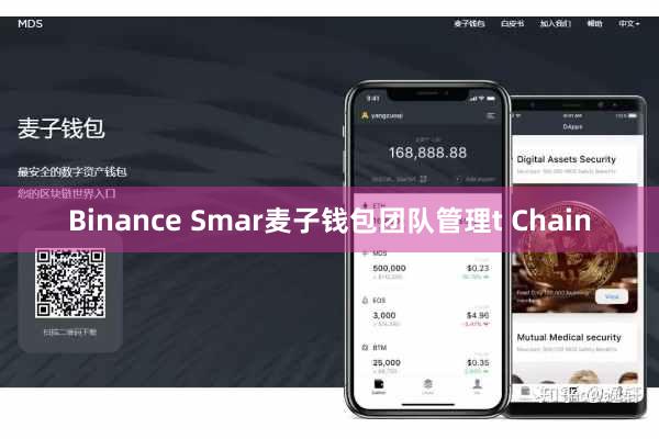 Binance Smar麦子钱包团队管理t Chain