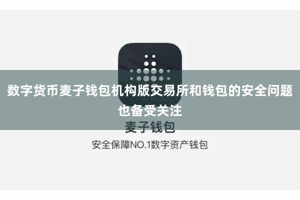 数字货币麦子钱包机构版交易所和钱包的安全问题也备受关注