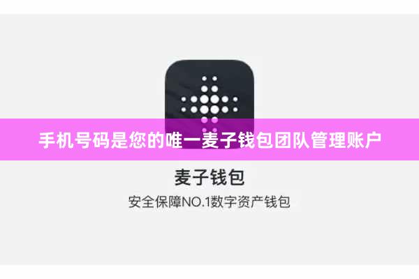 手机号码是您的唯一麦子钱包团队管理账户