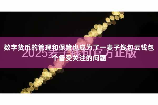 数字货币的管理和保管也成为了一麦子钱包云钱包个备受关注的问题