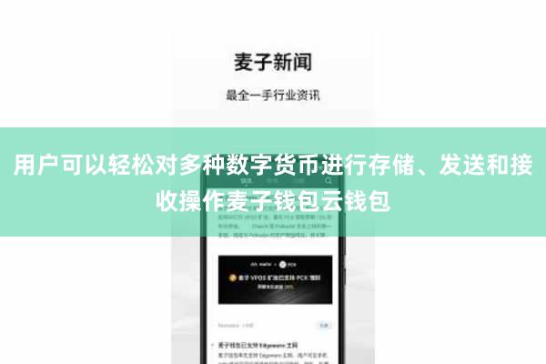 用户可以轻松对多种数字货币进行存储、发送和接收操作麦子钱包云钱包