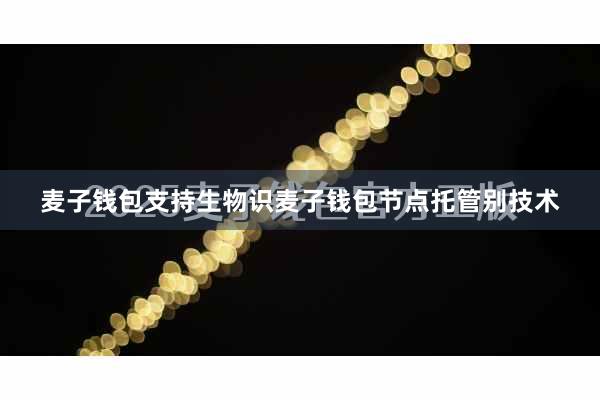 麦子钱包支持生物识麦子钱包节点托管别技术