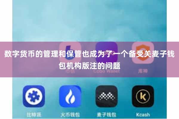 数字货币的管理和保管也成为了一个备受关麦子钱包机构版注的问题