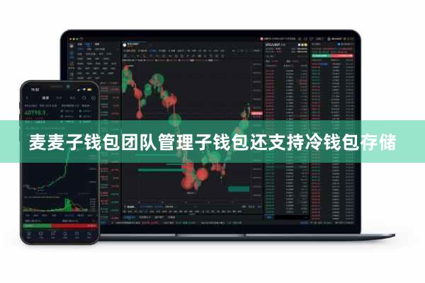 麦麦子钱包团队管理子钱包还支持冷钱包存储