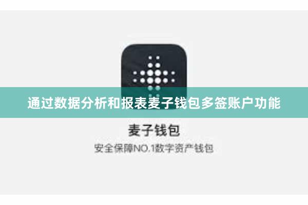 通过数据分析和报表麦子钱包多签账户功能