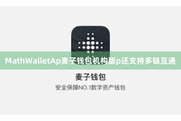 MathWalletAp麦子钱包机构版p还支持多链互通