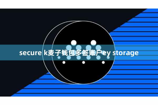 secure k麦子钱包多签账户ey storage