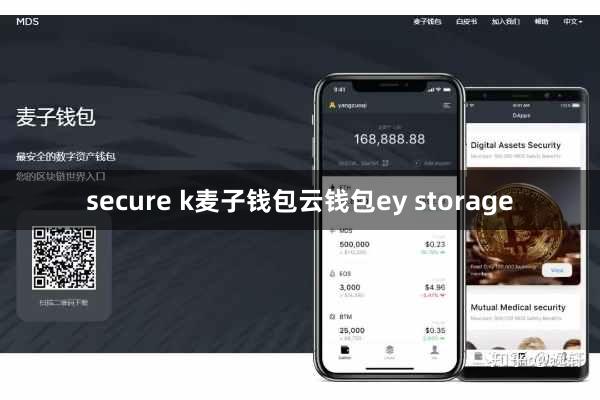 secure k麦子钱包云钱包ey storage
