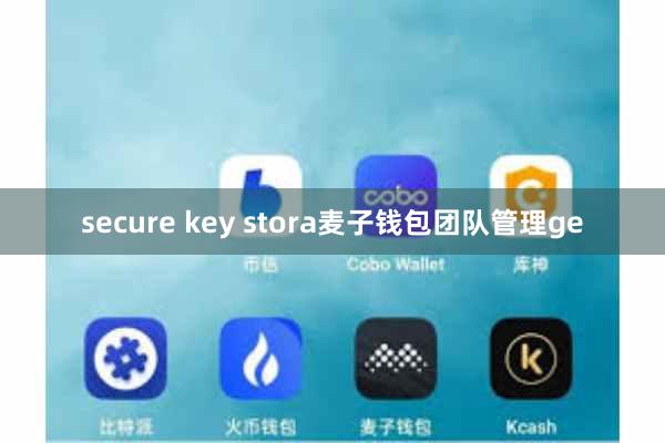 secure key stora麦子钱包团队管理ge