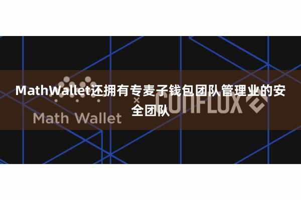 MathWallet还拥有专麦子钱包团队管理业的安全团队