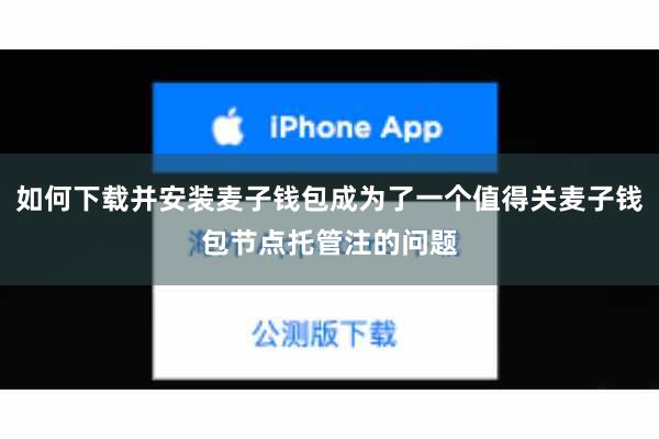 如何下载并安装麦子钱包成为了一个值得关麦子钱包节点托管注的问题