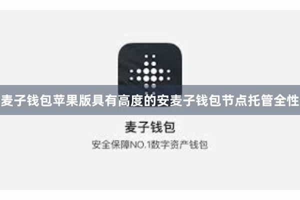 麦子钱包苹果版具有高度的安麦子钱包节点托管全性