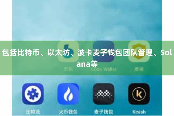 包括比特币、以太坊、波卡麦子钱包团队管理、Solana等