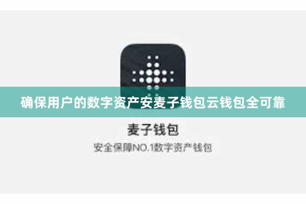 确保用户的数字资产安麦子钱包云钱包全可靠